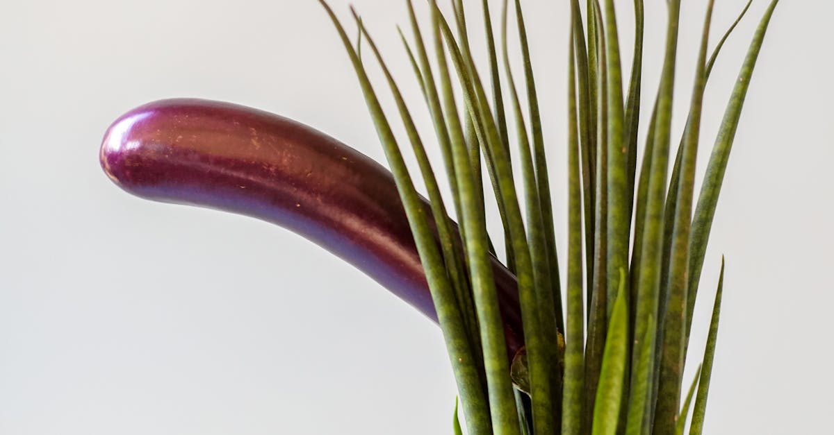 Review of Advanced Jelqing Products